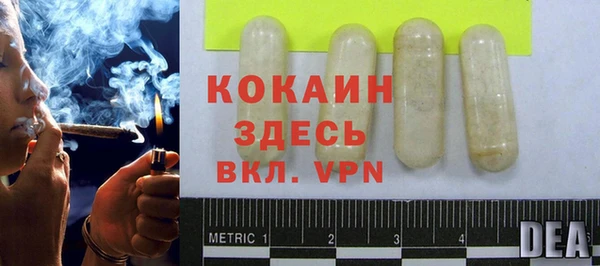 индика Алексин