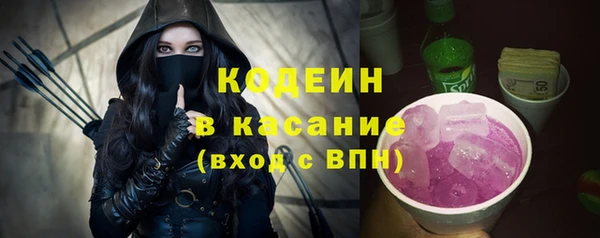 индика Алексин