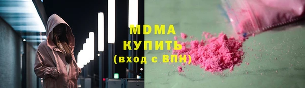 индика Алексин