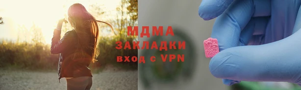 индика Алексин