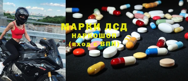 индика Алексин