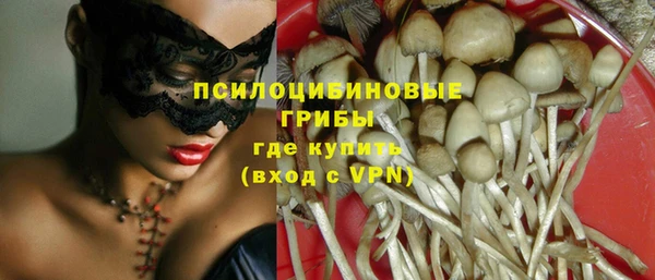 индика Алексин