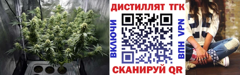 ТГК гашишное масло продажа наркотиков Пугачёв
