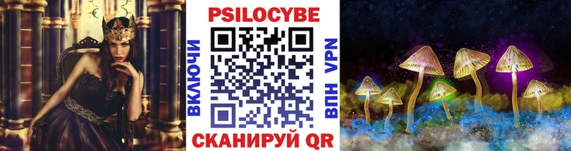 OMG ONION  Пугачёв  Галлюциногенные грибы Cubensis 